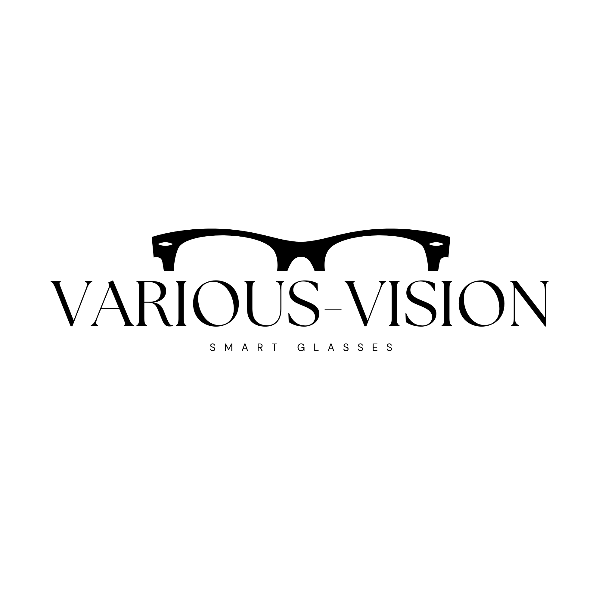 Various-Vision